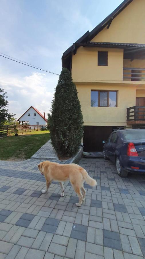 Popasul Galesean Hotel Galesu Bagian luar foto